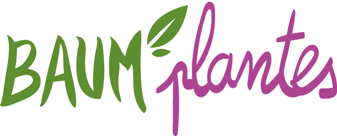 logo Baum'plantes